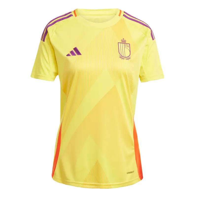 Maglia da trasferta bambini Belgique Women' Euro 2025 Gris