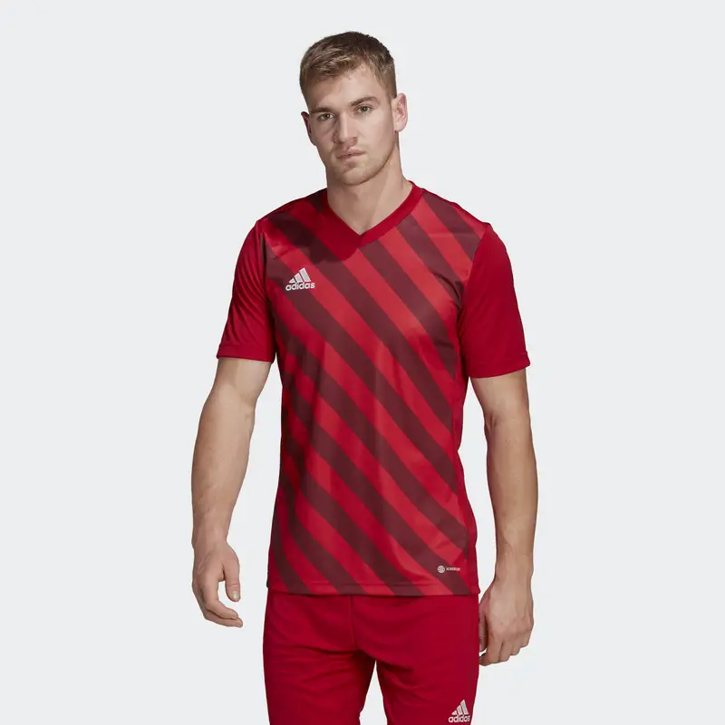 Maglia Entrada 22 Graphic | Adidas Rosso