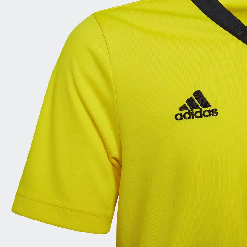 Maglia Entrada 22 Team Yellow miniatura 4