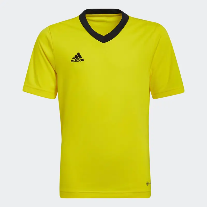 Maglia Entrada 22 Team Yellow
