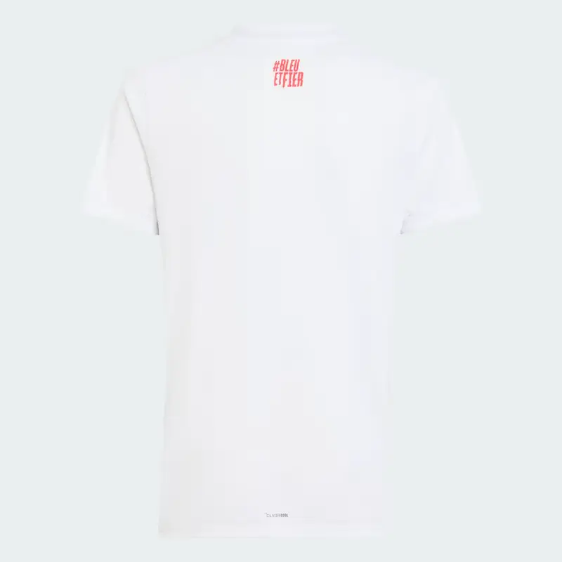 MAGLIA GARA FFHB RAGAZZO White miniatura 2