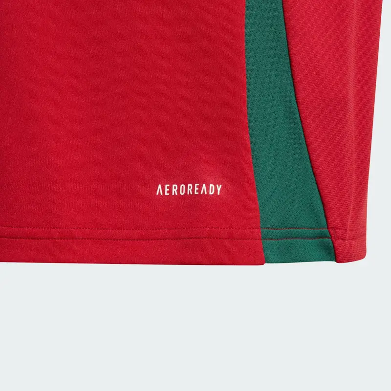 Maglia Home 24 Junior Hungary Team Victory Red miniatura 4