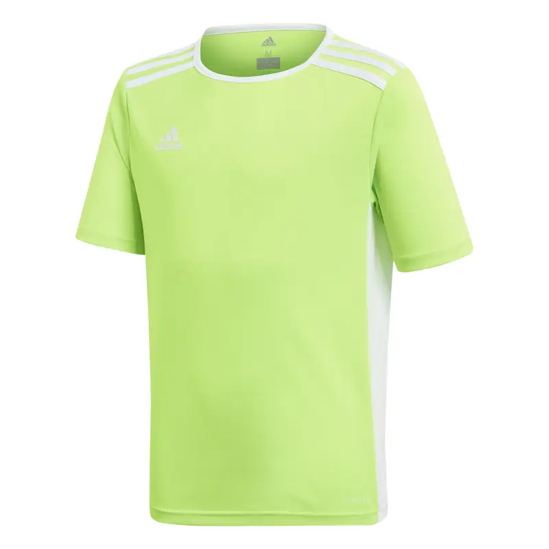 Maglia per bambini adidas Entrada Vert