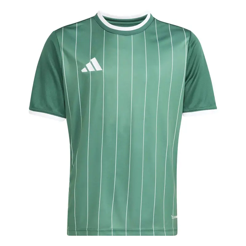 Maglia per bambini adidas Entrada26 Graphic Vert