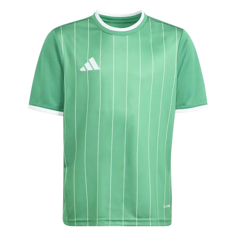 Maglia per bambini adidas Entrada26 Graphic Vert