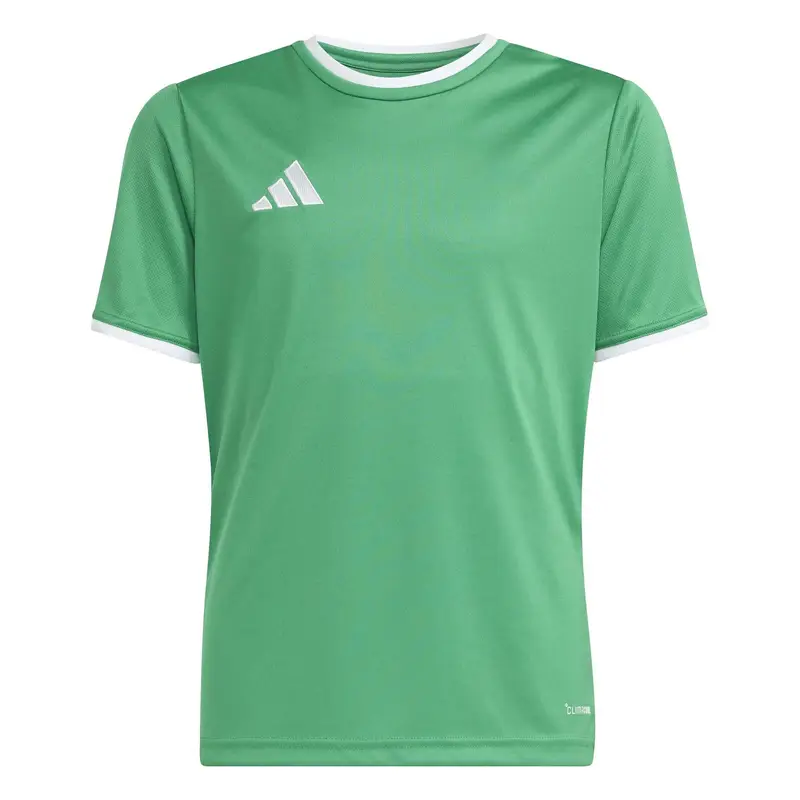 Maglia per bambini adidas Entrada26 Vert