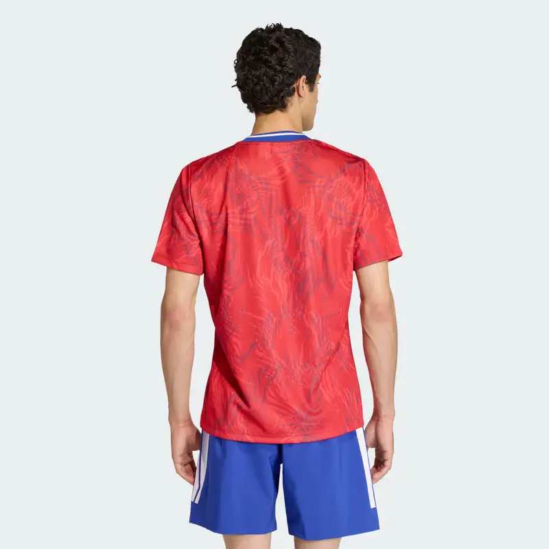 Maglia Prematch Rugby Francia Collegiate Red miniatura 2