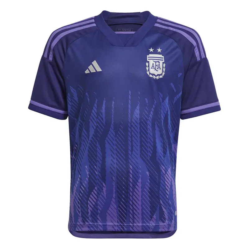 Maglia ufficiale Argentina Copa America 2024 Bleu