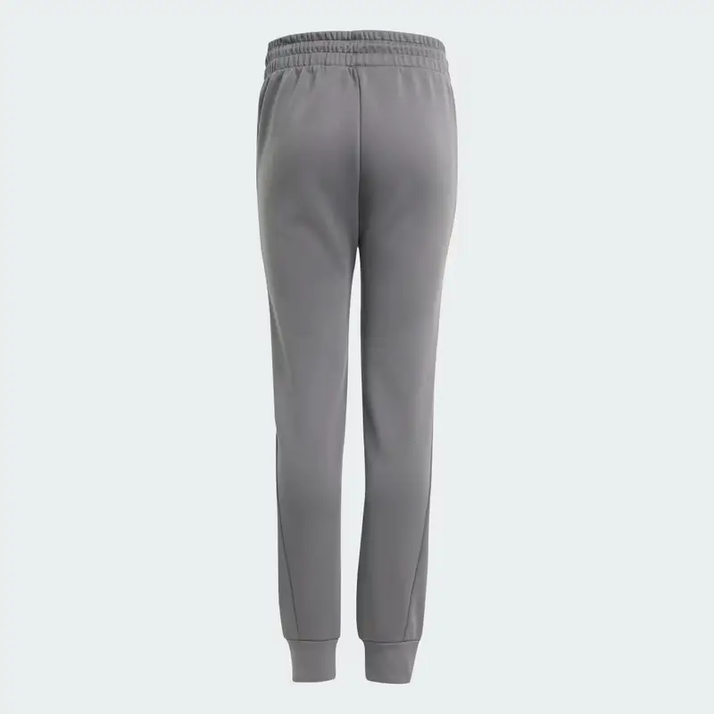 Mercedes - AMG Petronas Formula One Team Silver Arrows Pant Bambini Grey Five miniatura 2