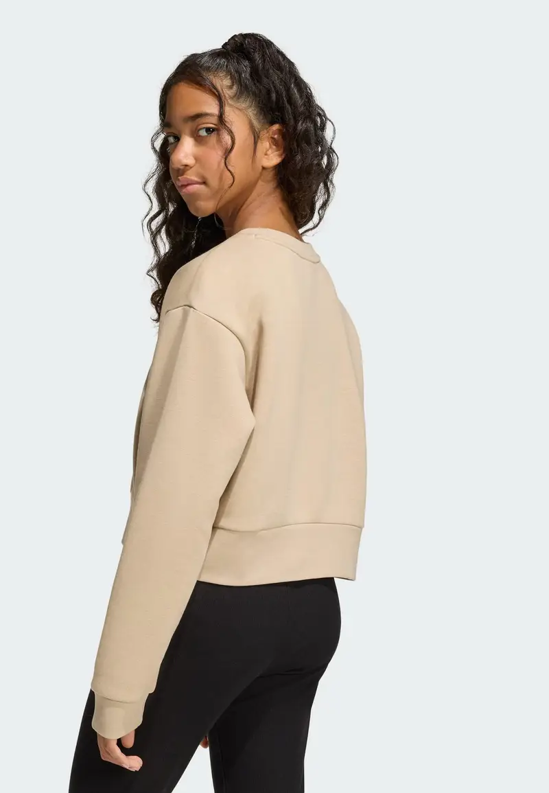 Felpa BOXY CREW beige / bianco miniatura 3