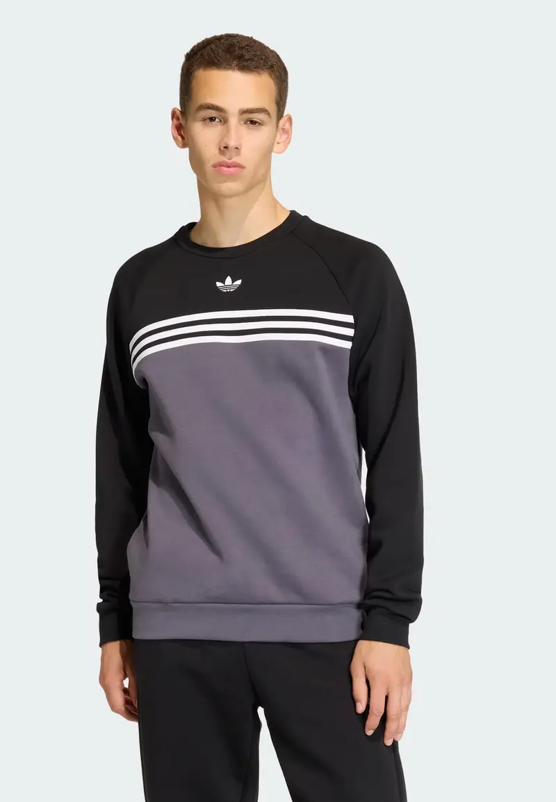 Felpa grigio basalto / nero / bianco miniatura 2