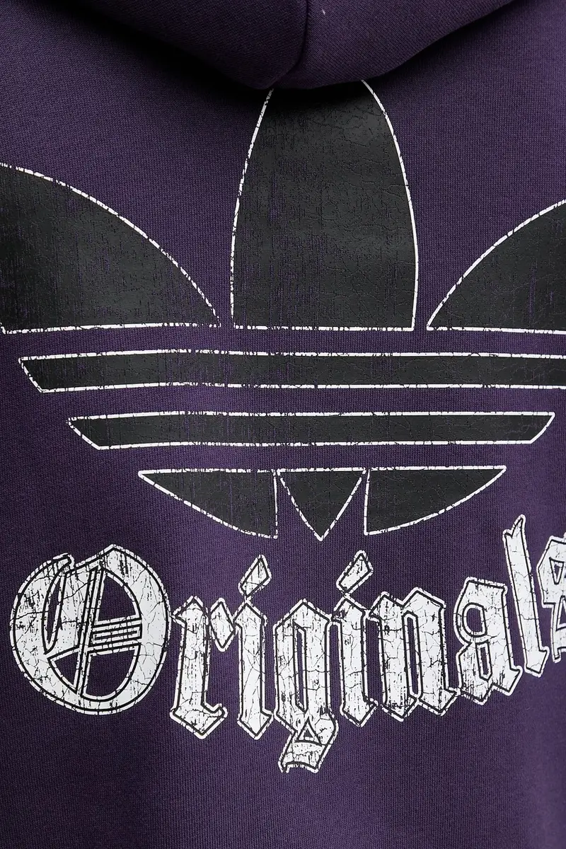 felpa in cotone Grfx Hoodie uomo colore violetto con cappuccio JY2729 miniatura 5