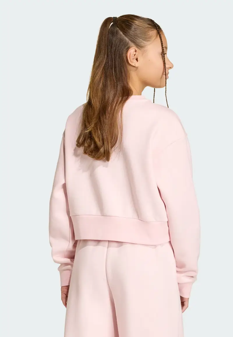 Felpa rosa miniatura 3