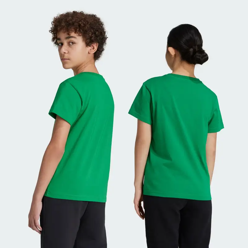 Maglietta 'Adicolor Trefoil' abete / bianco miniatura 3