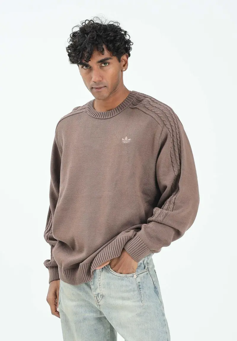 Maglioncino girocollo Premium Essentials marrone da uomo miniatura 2