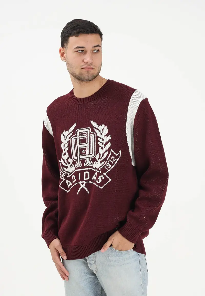 Maglione girocollo bordeaux da uomo con stampa stile college miniatura 2