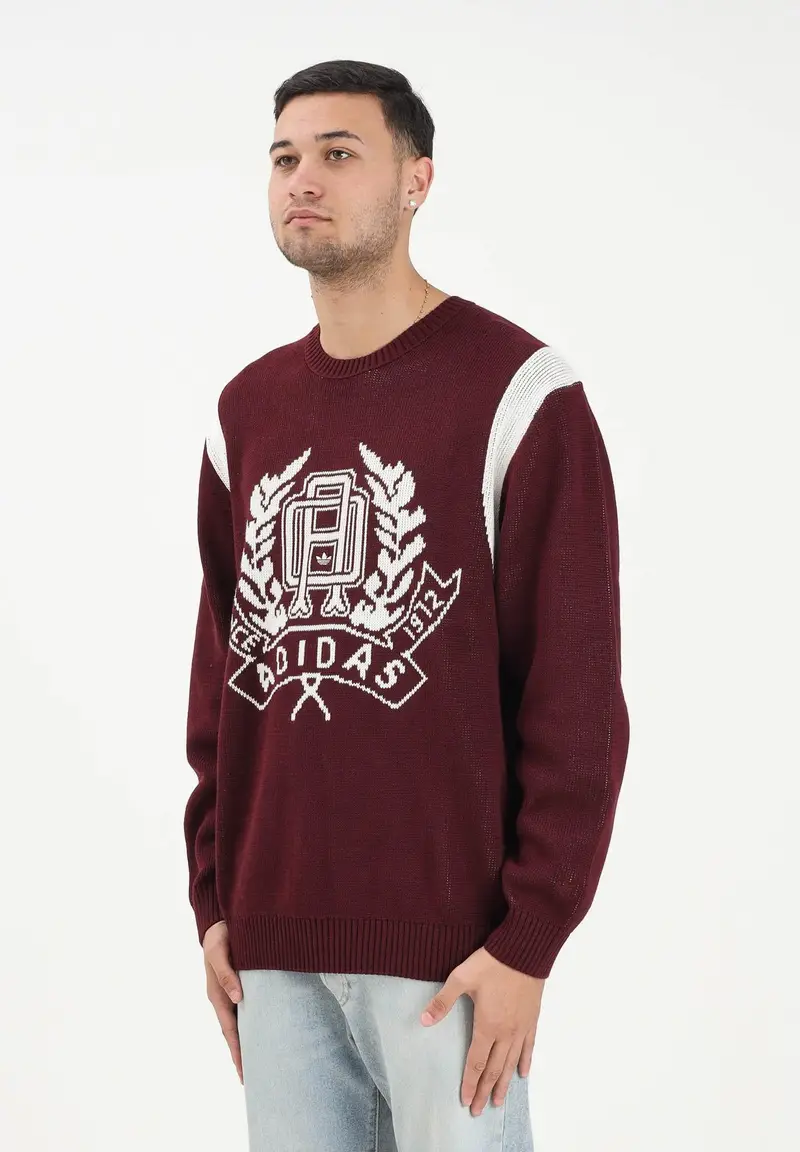 Maglione girocollo bordeaux da uomo con stampa stile college