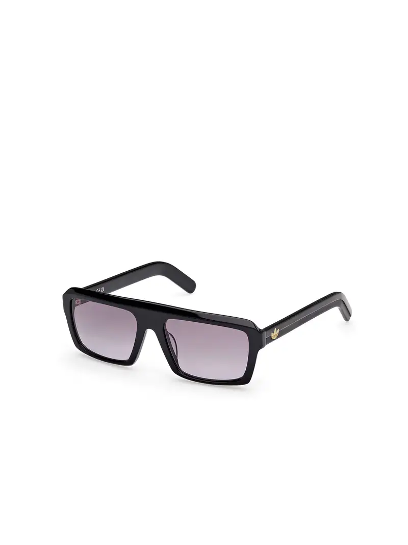 Occhiali da sole grigio fumo / nero