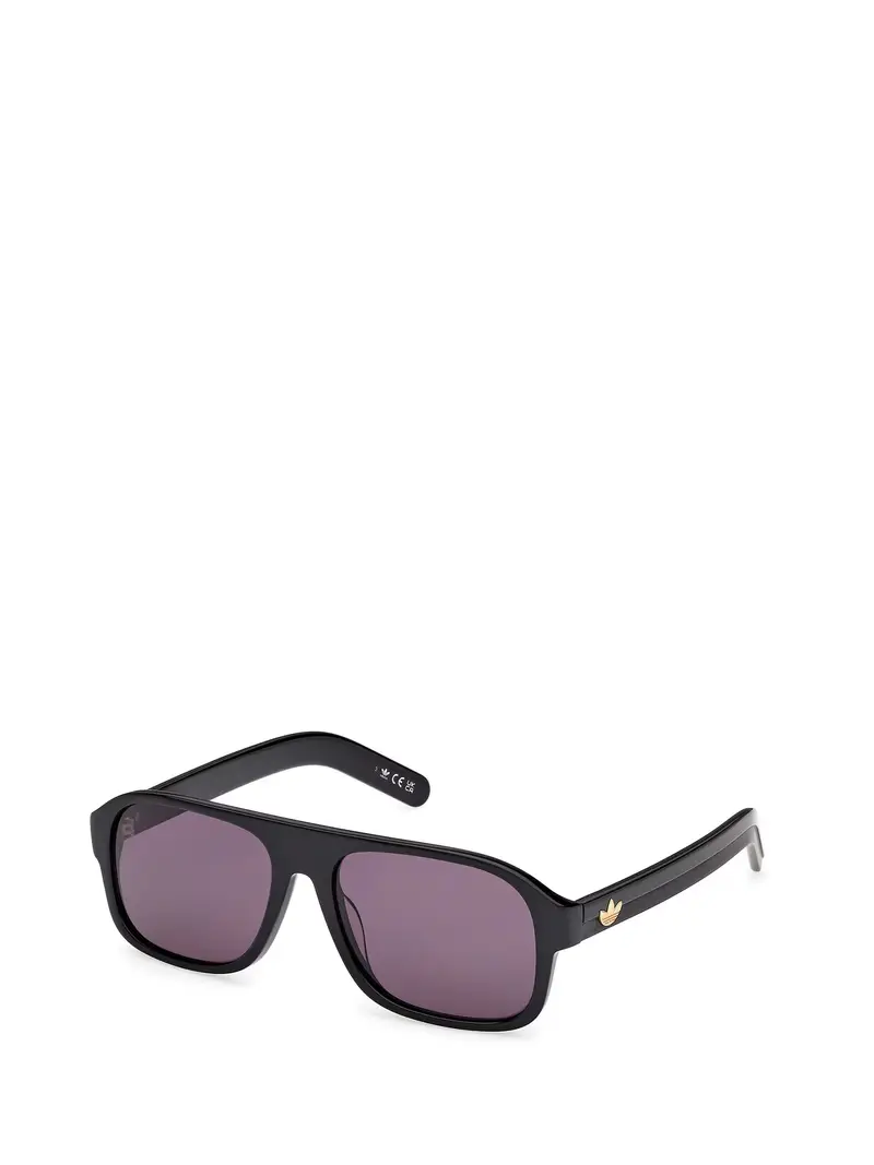 Occhiali da sole grigio fumo / nero miniatura 2