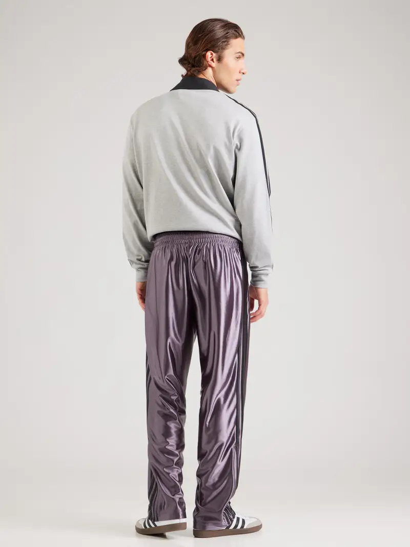 Pantaloni 'FIREBIRD' grigio scuro / nero miniatura 2