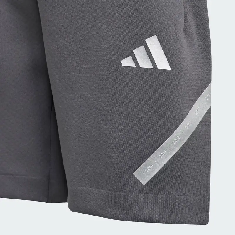 Pantaloncini Bambini Silver Arrows Mercedes - AMG Petronas Formula One Team Grey Five miniatura 4