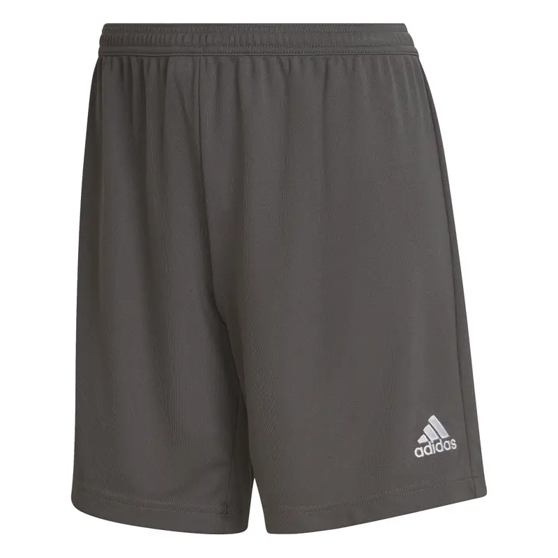 Pantaloncini da donna adidas Entrada 22 Gris