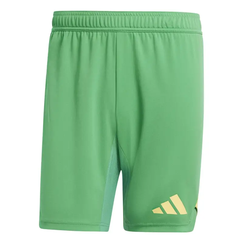 Pantaloncini da portiere adidas Tiro 24 Pro Vert