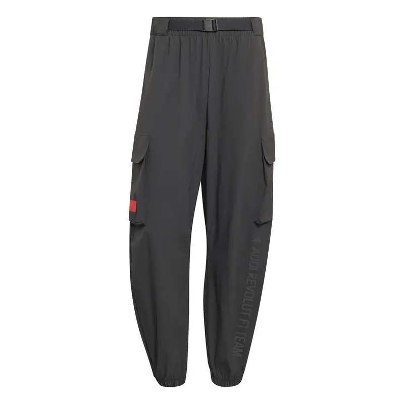 Adidas Pantaloni cargo Multicolore 4301087