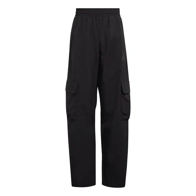 Adidas Pantaloni cargo Multicolore 3907670