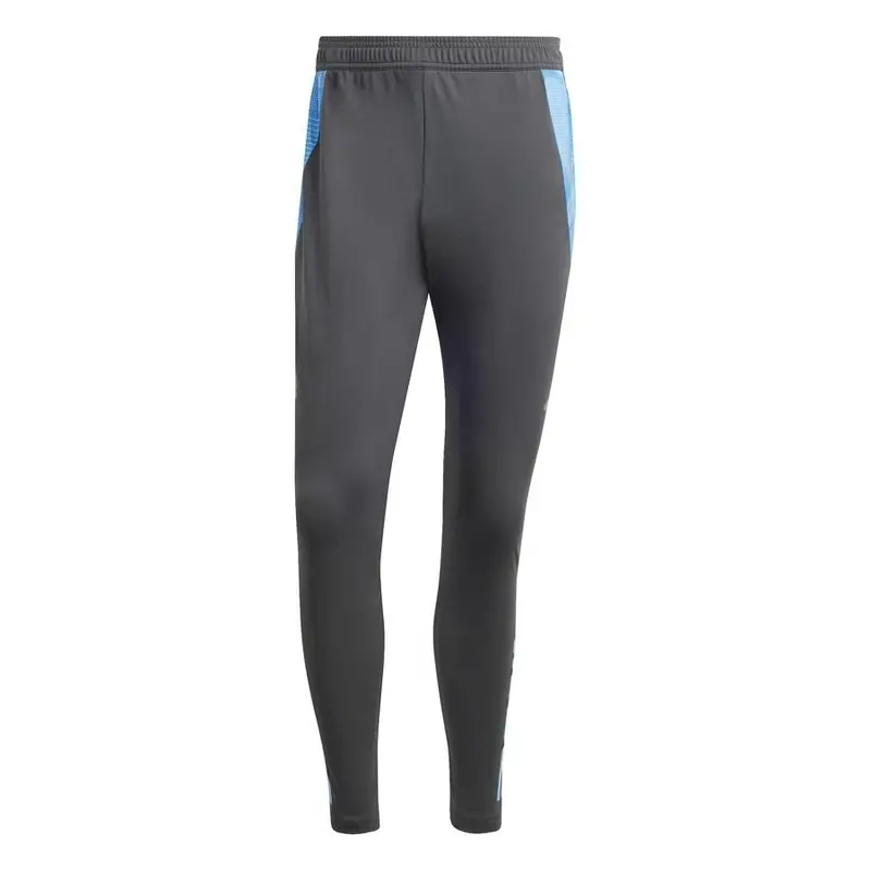 Pantaloni da allenamento Argentina Copa America 2024 Gris