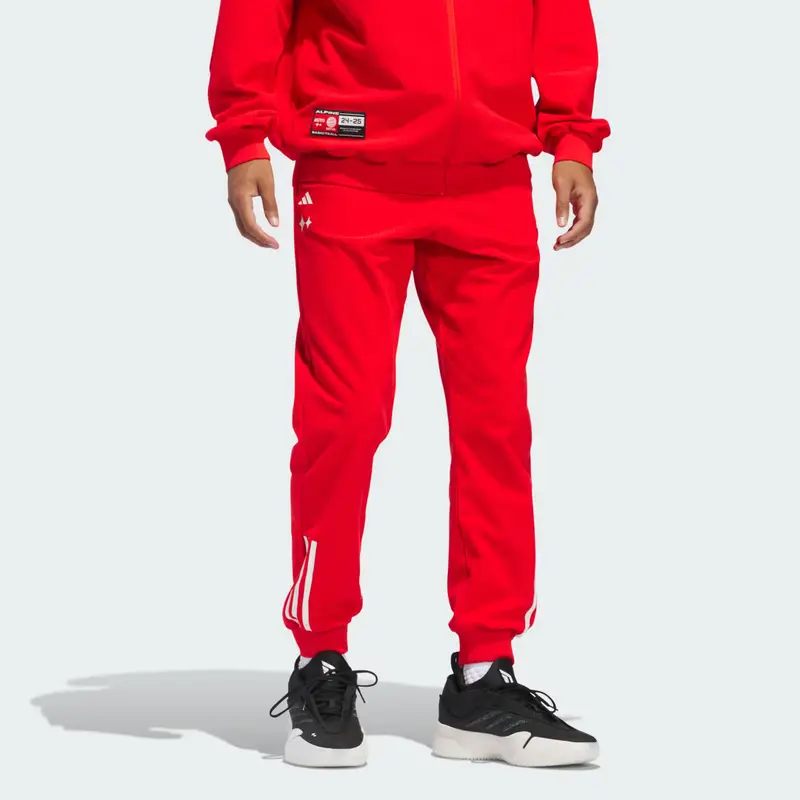 Pantaloni da allenamento Home/Away FC Bayern München (Neutral) Red miniatura 3