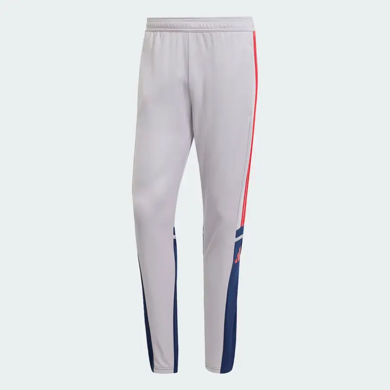 Pantaloni da allenamento Squadra 25 Glory Grey miniatura 4