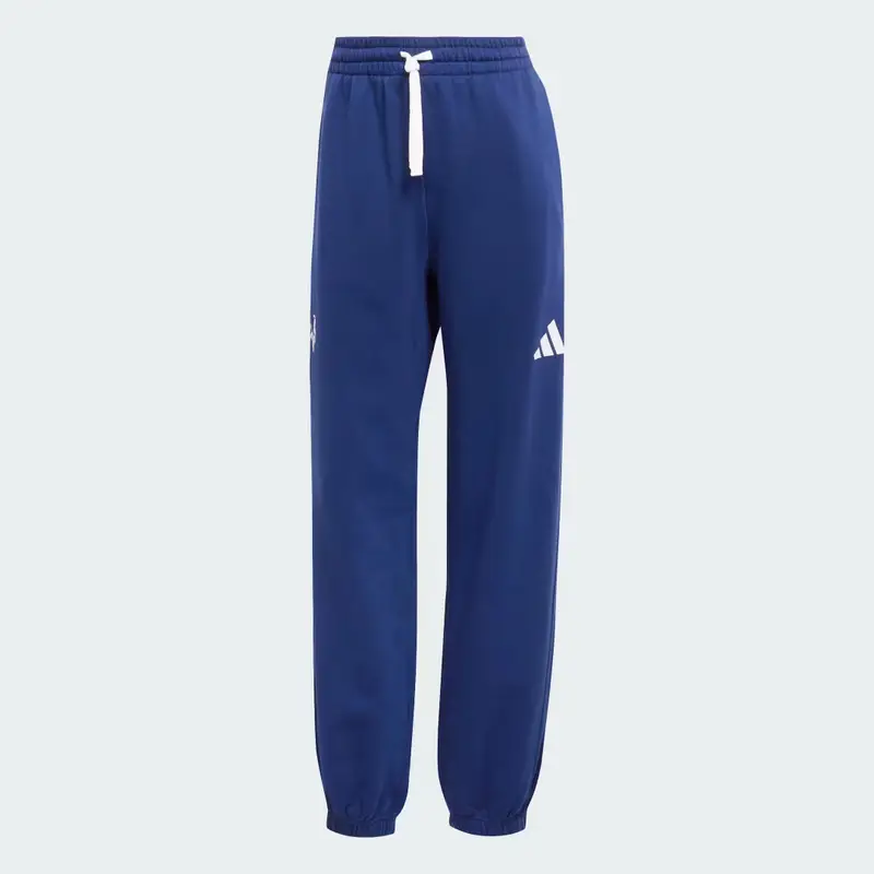 Pantaloni da allenamento Team France Dark Blue miniatura 4