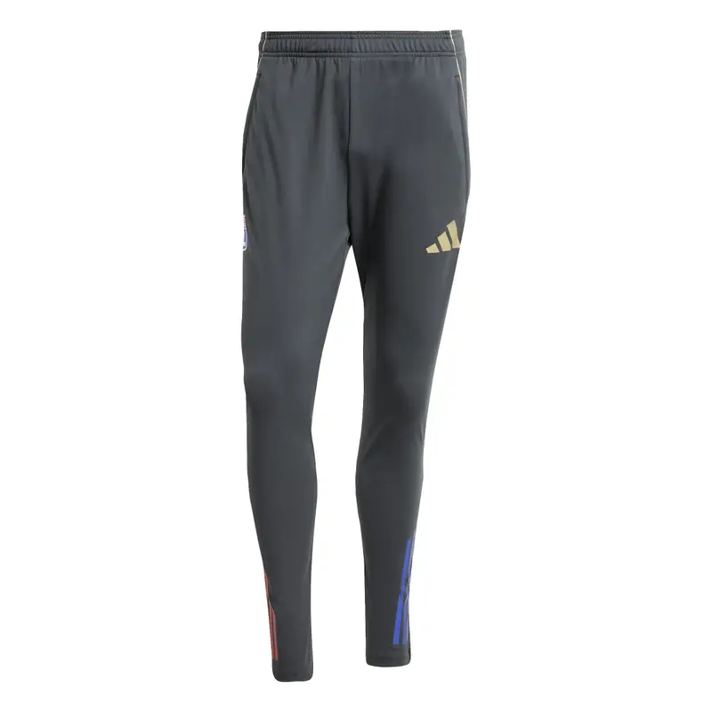 Pantaloni da jogging OL 2025/26 Gris