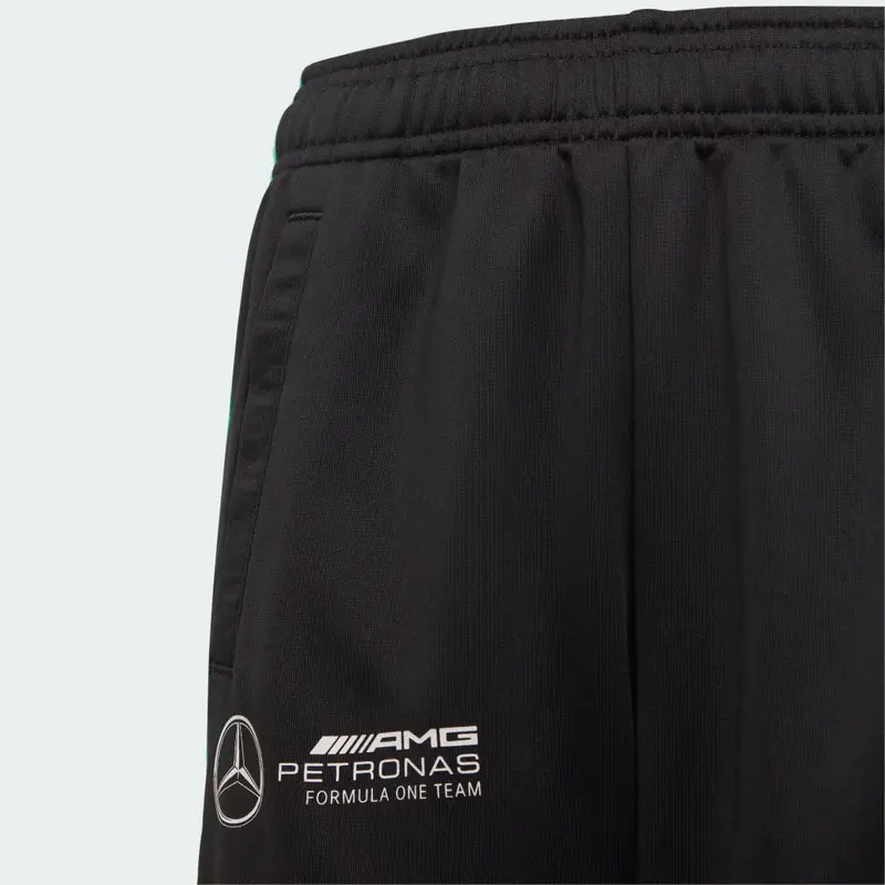 PANTALONI MERCEDES - AMG PETRONAS FORMULA ONE TEAM DNA Black miniatura 3