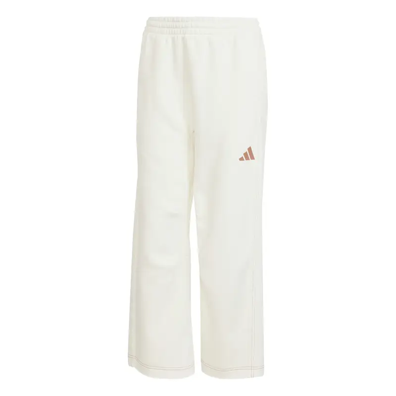 Pantaloni sportivi da donna adidas Graphic All Szn Blanc