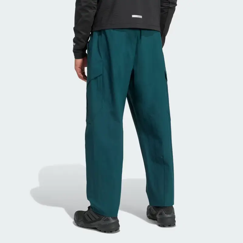 Pantaloni Terrex Xploric Cargo Aurora Ivy miniatura 2