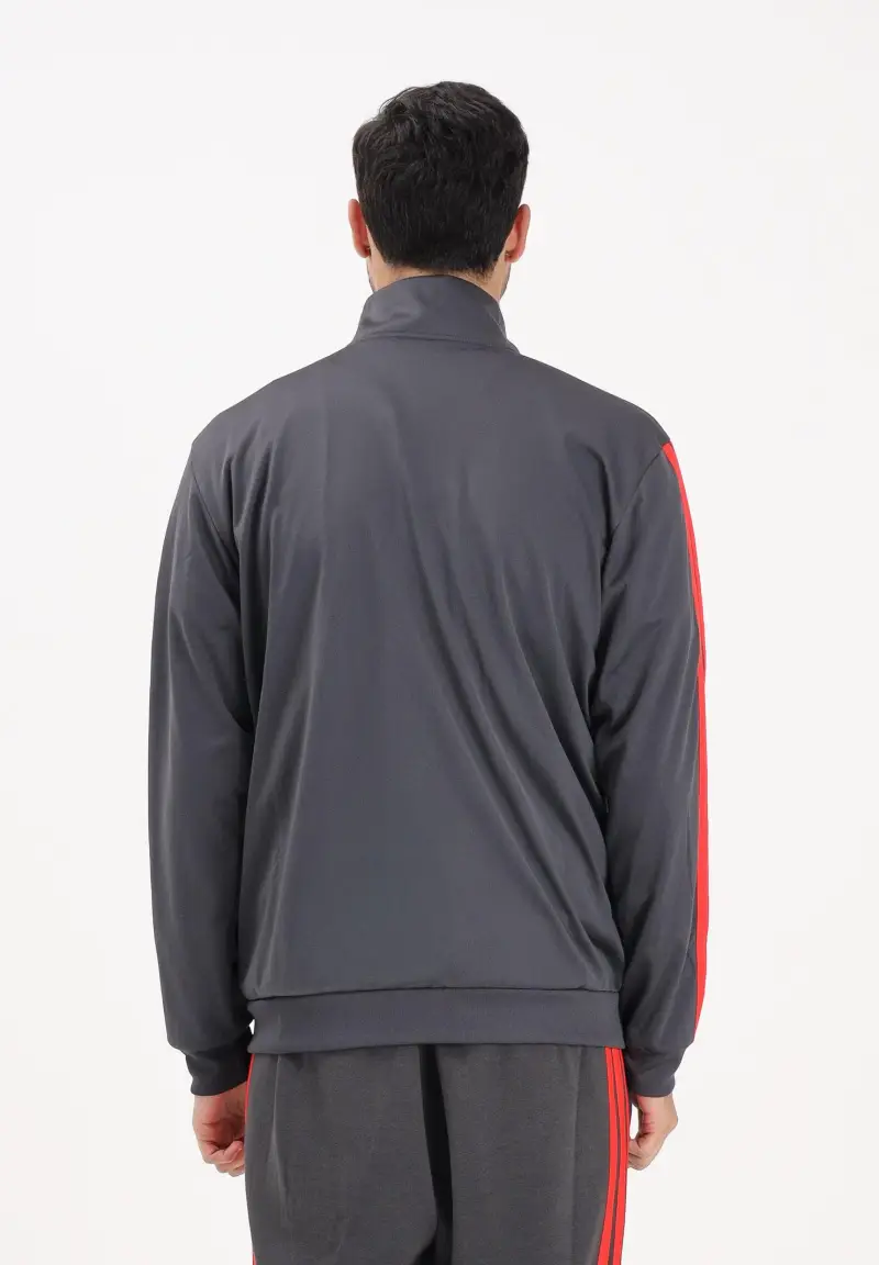 Felpa con zip Audi Revolut F1® Team DNA grigia e rossa da uomo miniatura 3