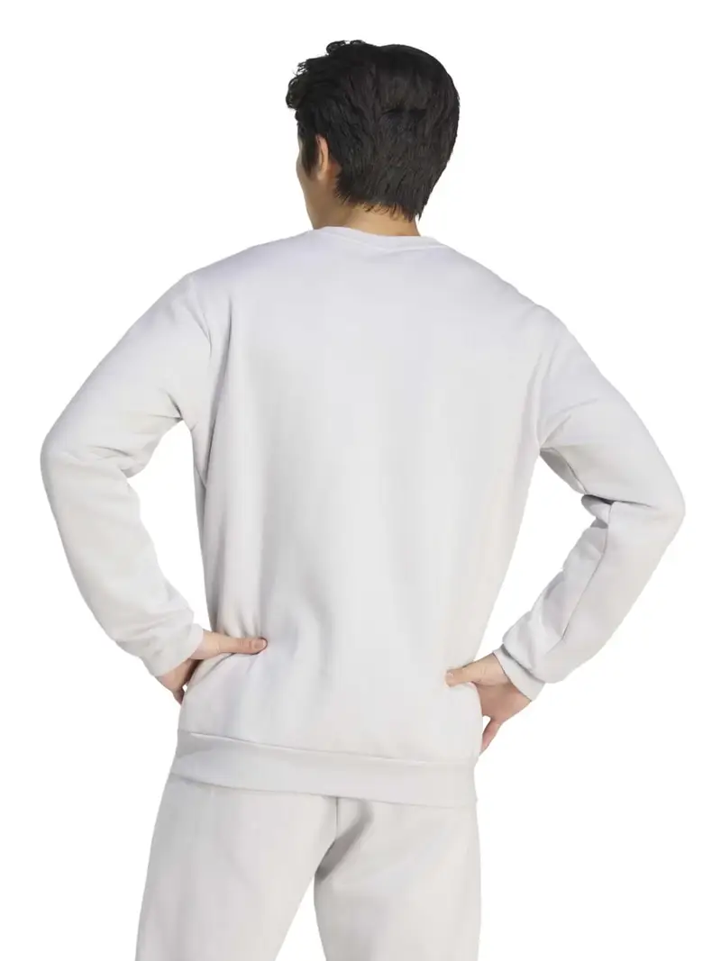 Felpa sportiva ENT26 grigio chiaro / bianco miniatura 3