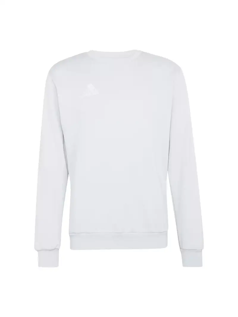 Felpa sportiva ENT26 grigio chiaro / bianco