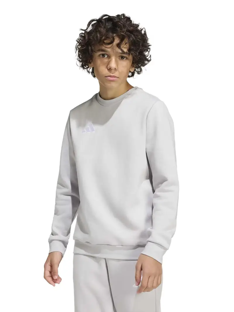 Felpa sportiva ENT26 grigio chiaro / bianco miniatura 2