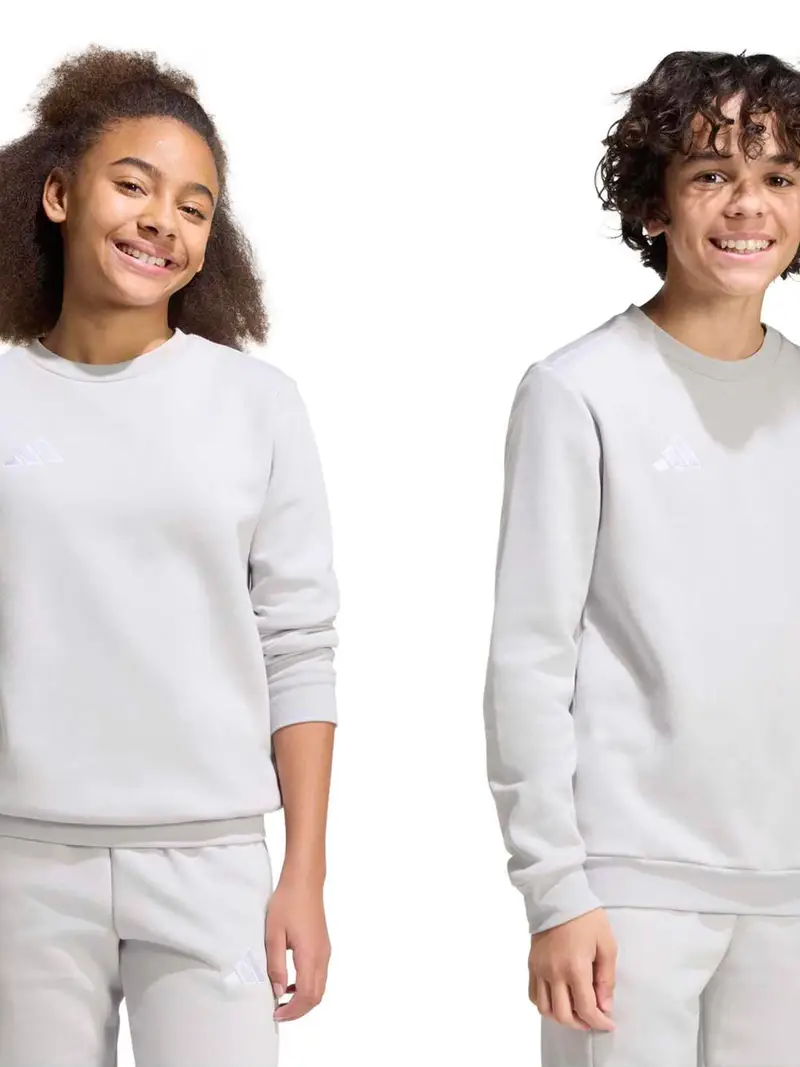 Felpa sportiva ENT26 grigio chiaro / bianco miniatura 3