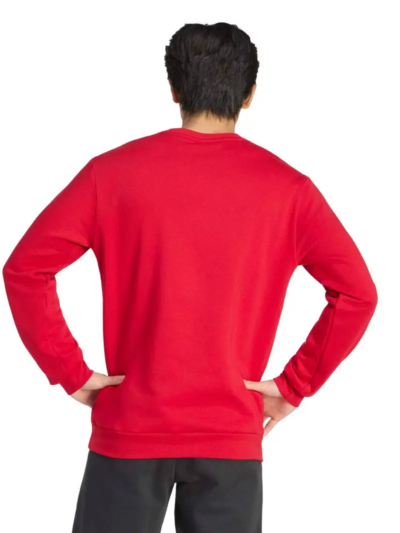 Felpa sportiva ENT26 rosso / bianco miniatura 2