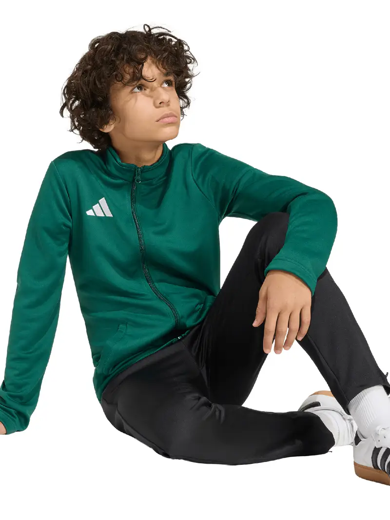 Giacca di felpa sportiva ENT26 smeraldo / bianco miniatura 3