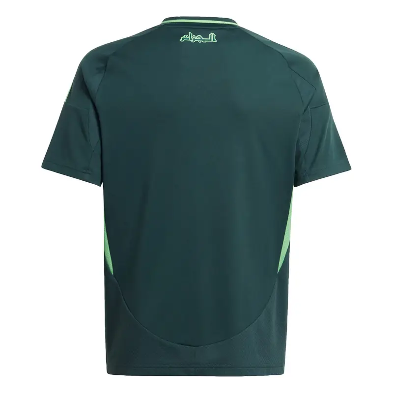 Maglia funzionale 'Algeria 24' verde chiaro / verde scuro / bianco miniatura 3