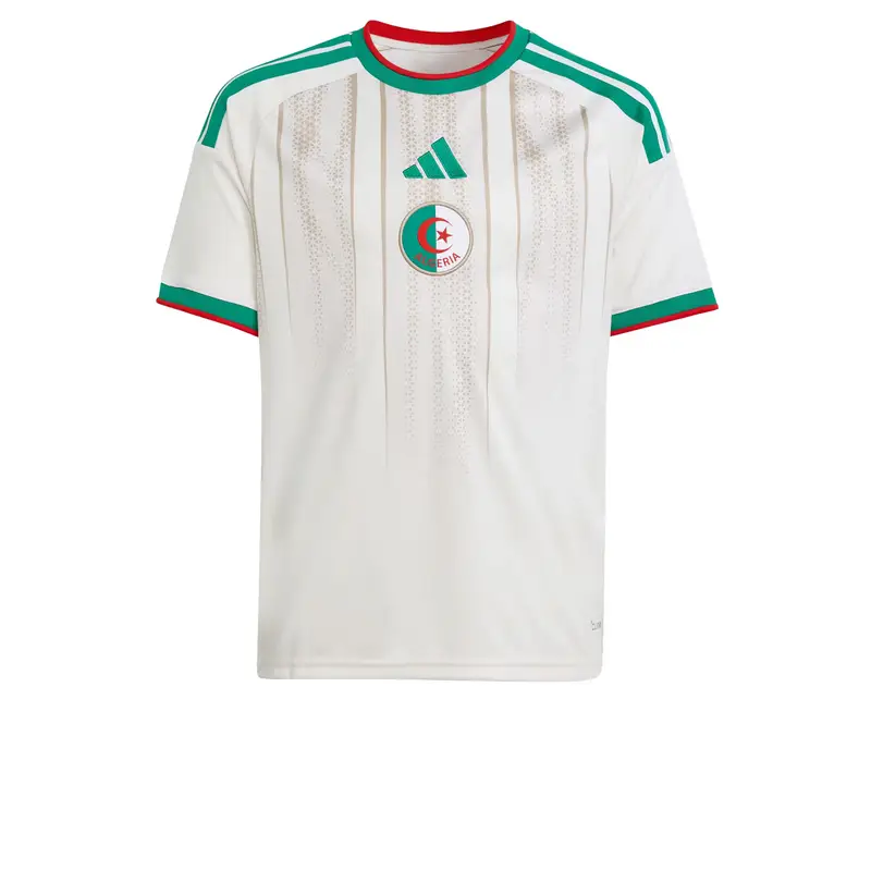 Maglia funzionale 'Algerien 26' beige / smeraldo / mirtillo / bianco naturale miniatura 2