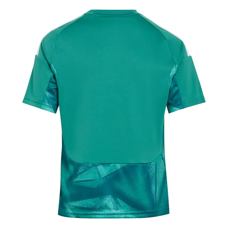Maglia funzionale 'DFB H GK JSY Y' verde neon / bianco miniatura 2