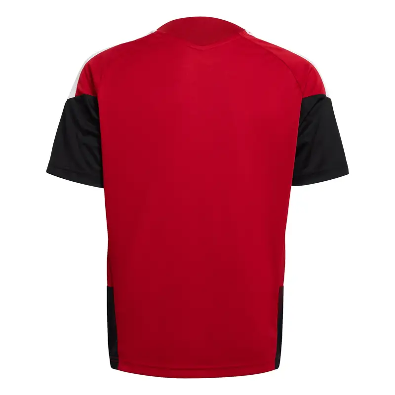 Maglia funzionale DFB TR JSYY rosso miniatura 2