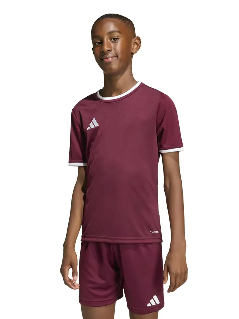 Maglia funzionale ENT26 borgogna / bianco miniatura 3