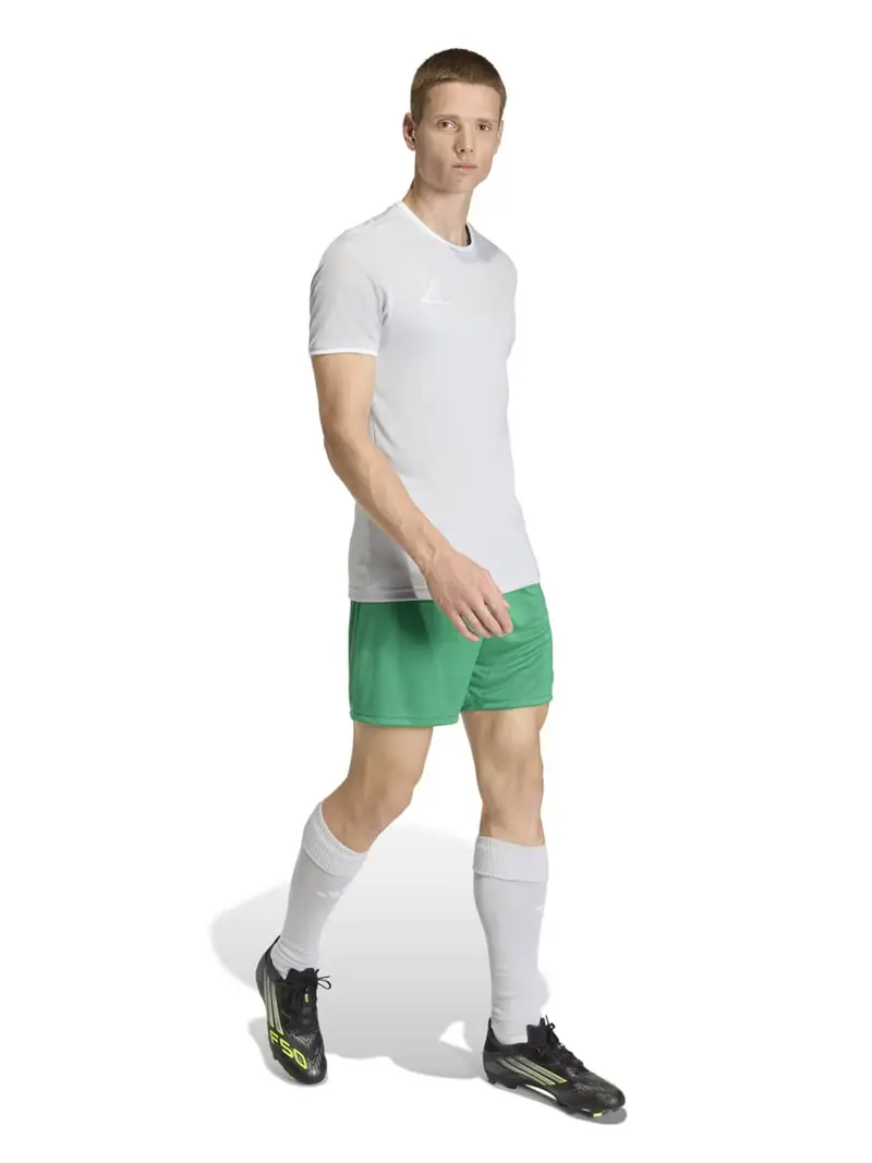 Maglia funzionale ENT26 grigio / bianco miniatura 3